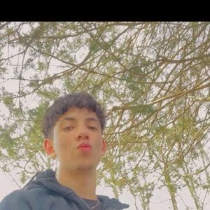 Meet your Posher, German